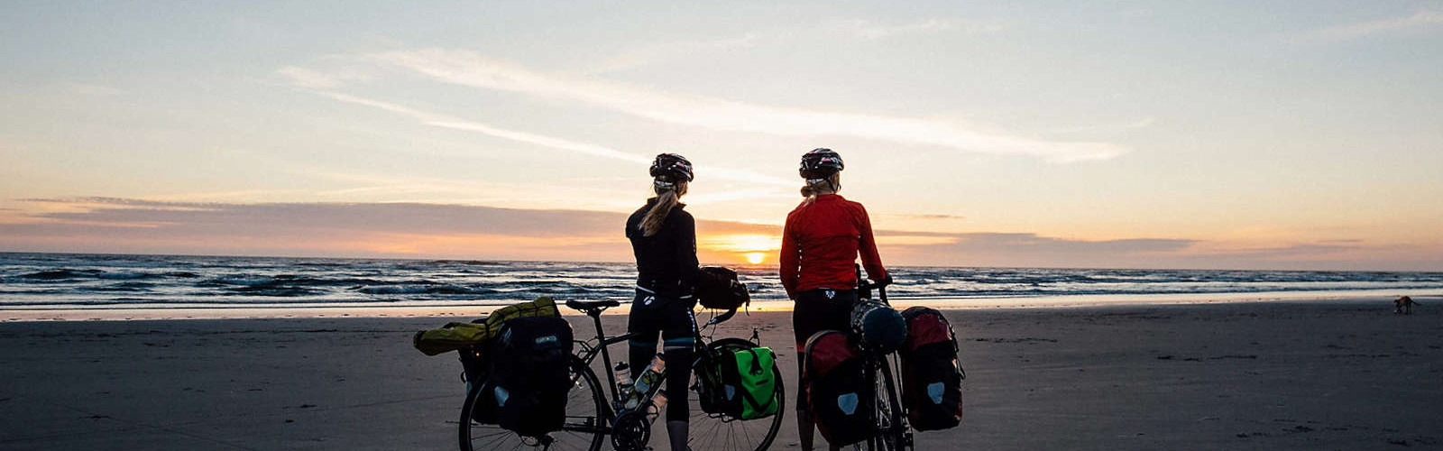 Bagageiros para bicicletas